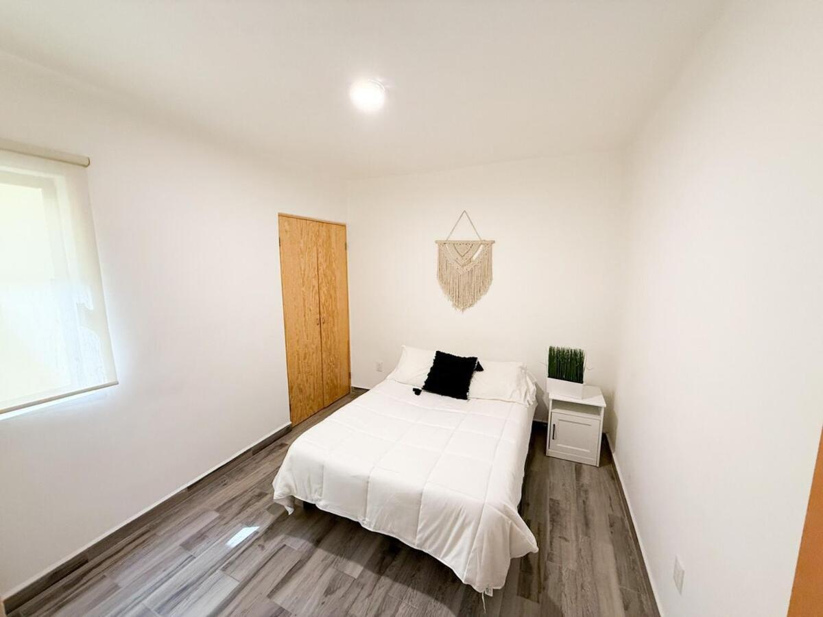 Apartment Bright Retreat In La Condesa 2 Bedroom 4p 500mb Mexico City