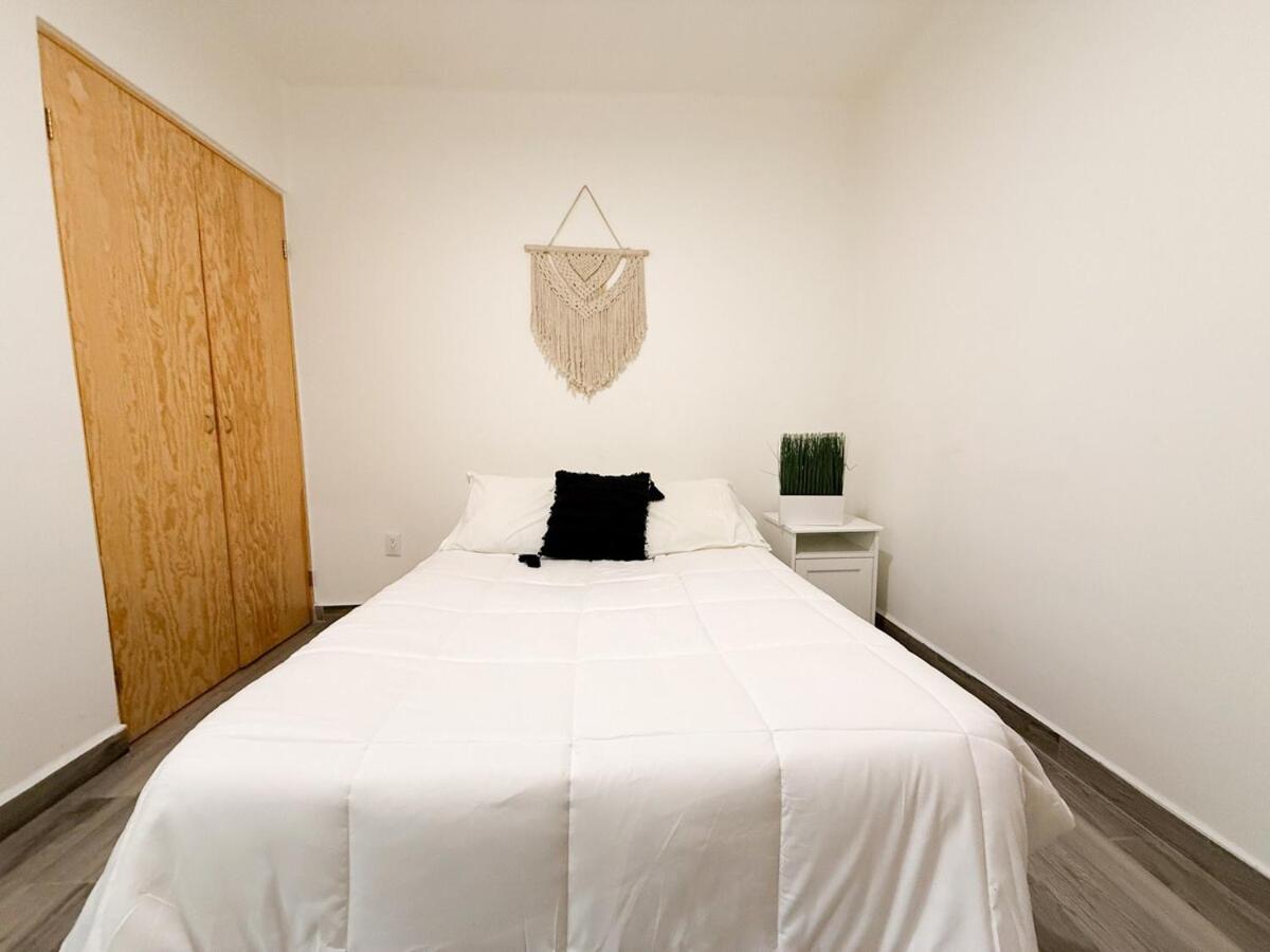 Bright Retreat In La Condesa 2 Bedroom 4p 500mb