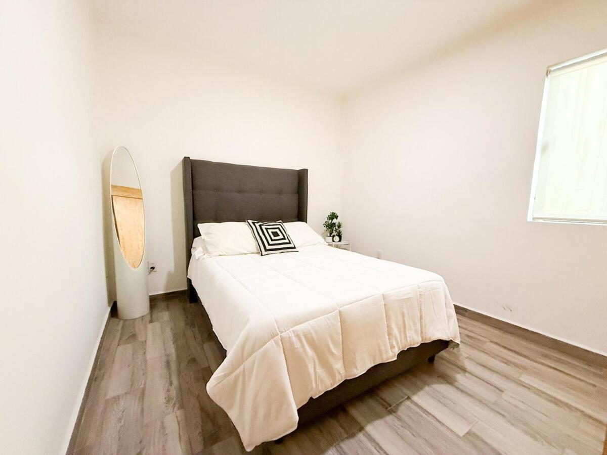 Bright Retreat In La Condesa 2 Bedroom 4p 500mb Apartment Mexico City