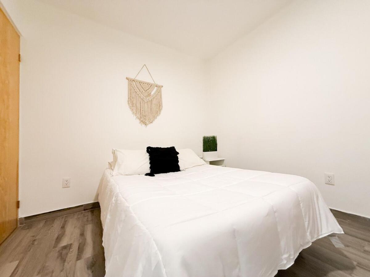 Apartment Bright Retreat In La Condesa 2 Bedroom 4p 500mb Mexico City